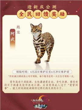 新潮天龙八部私服